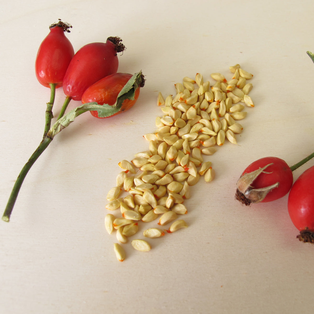 Mannavita Ungarisches kaltgepresstes Hagebuttenkernöl • 40 ml