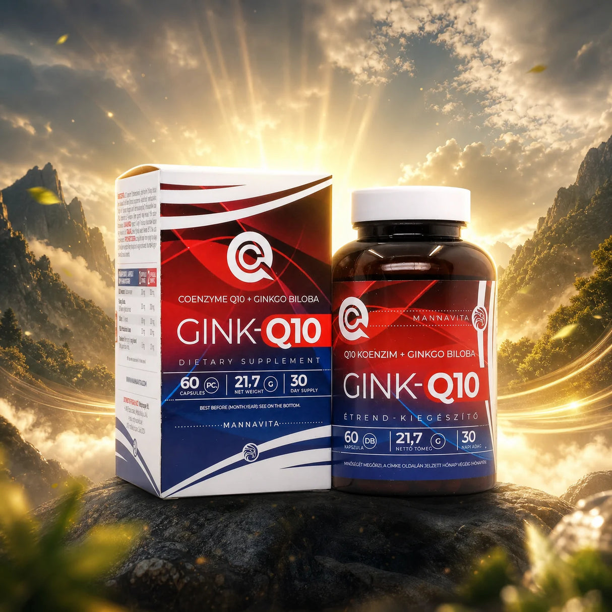 GINK-Q10 • Q10 Coenzym + Ginkgo Biloba Komplex • 60 Kapseln