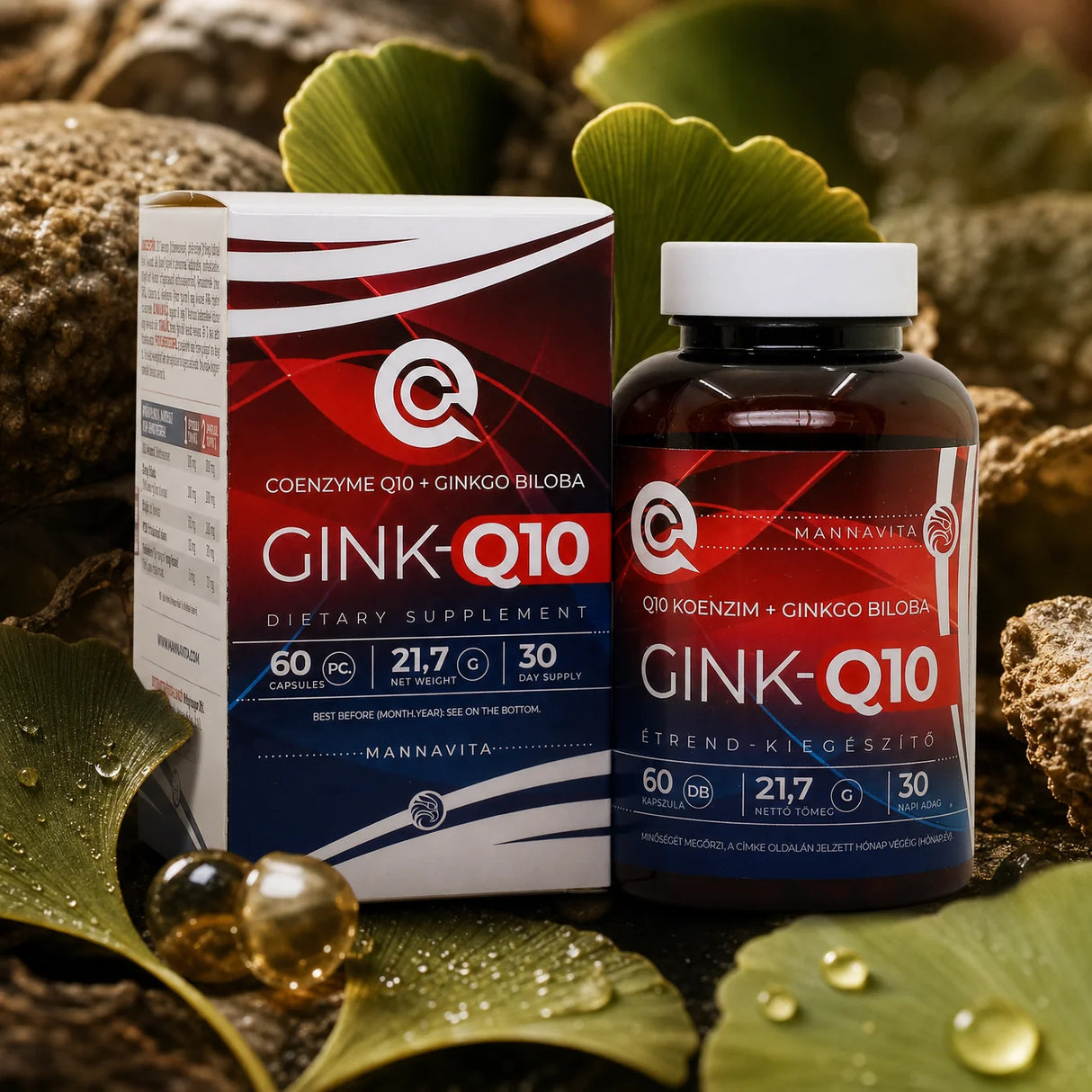 GINK-Q10 • Q10 Coenzym + Ginkgo Biloba Komplex • 60 Kapseln
