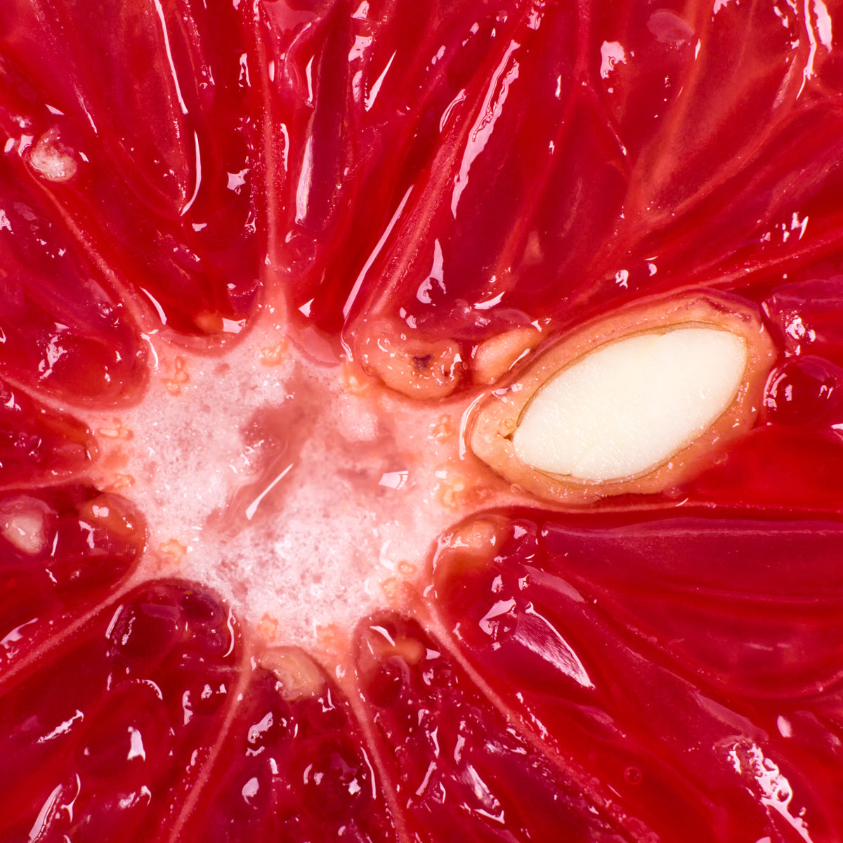 Mannavita Grapefruitkern-Extrakt Tropfen • 100 ml