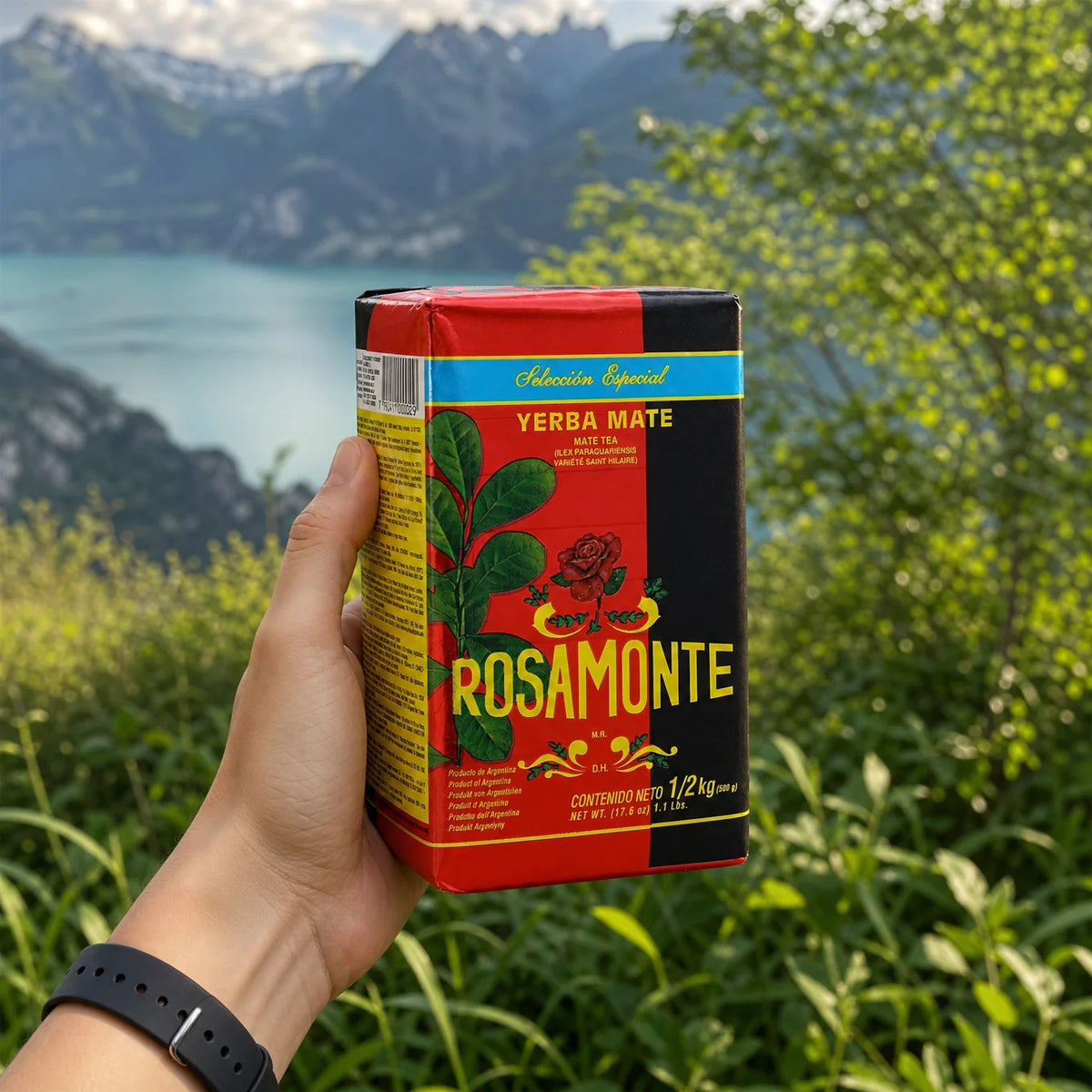 Rosamonte Yerba-Mate-Tee • SPEZIAL • 500 g