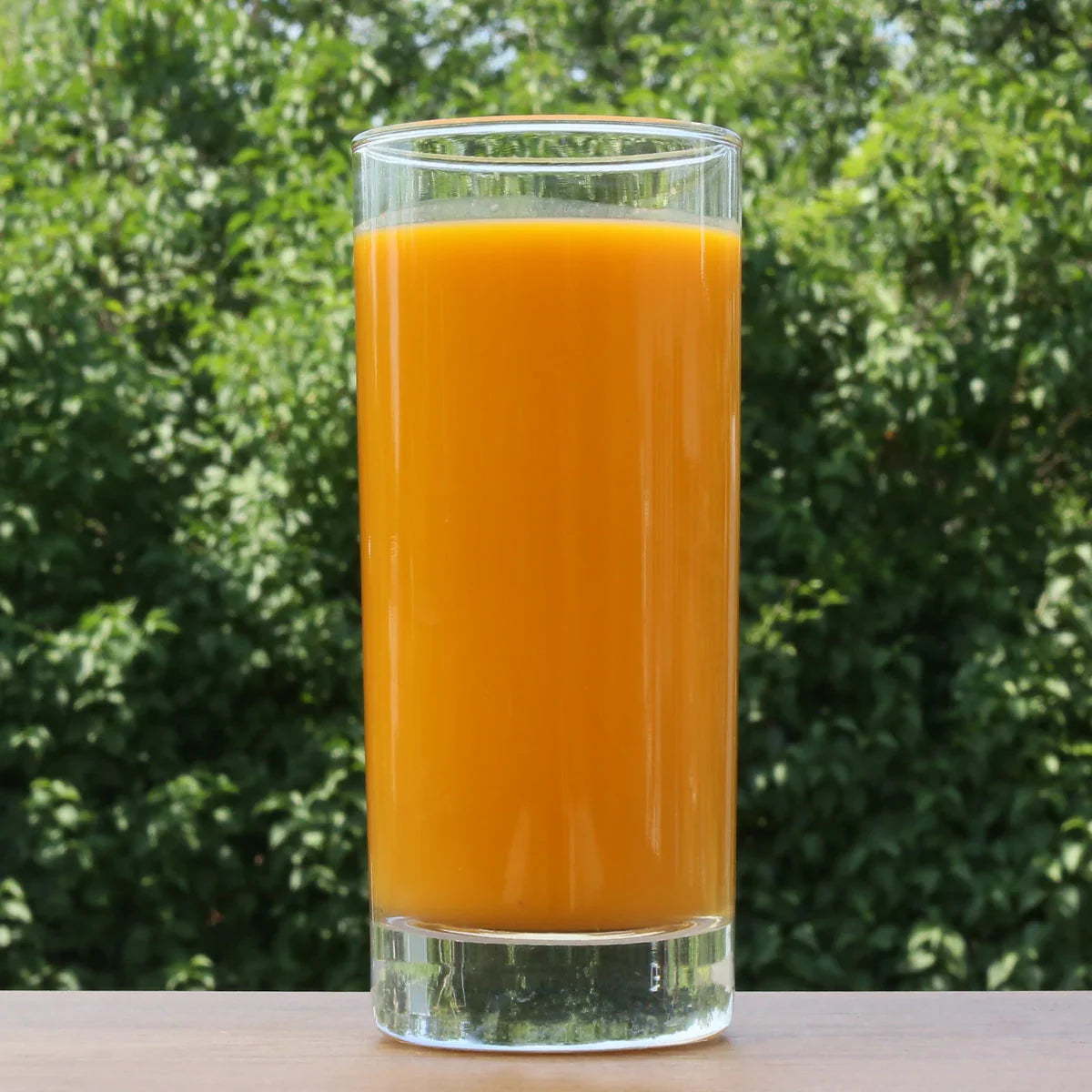 Mannavita Sea buckthorn 100% pure pressed juice • 500 ml - Mannavita