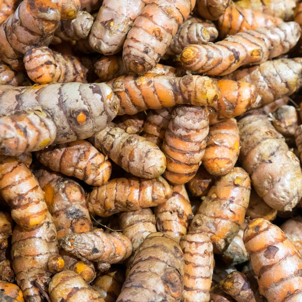 KURKUNEX turmeric extract complex • 90 capsules - Mannavita