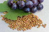Viniseera-Traubenkernpulver • 150 g