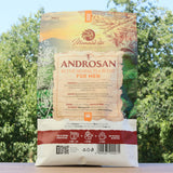 ANDROSAN aktive Kräuterteemischung für Männer • 80g