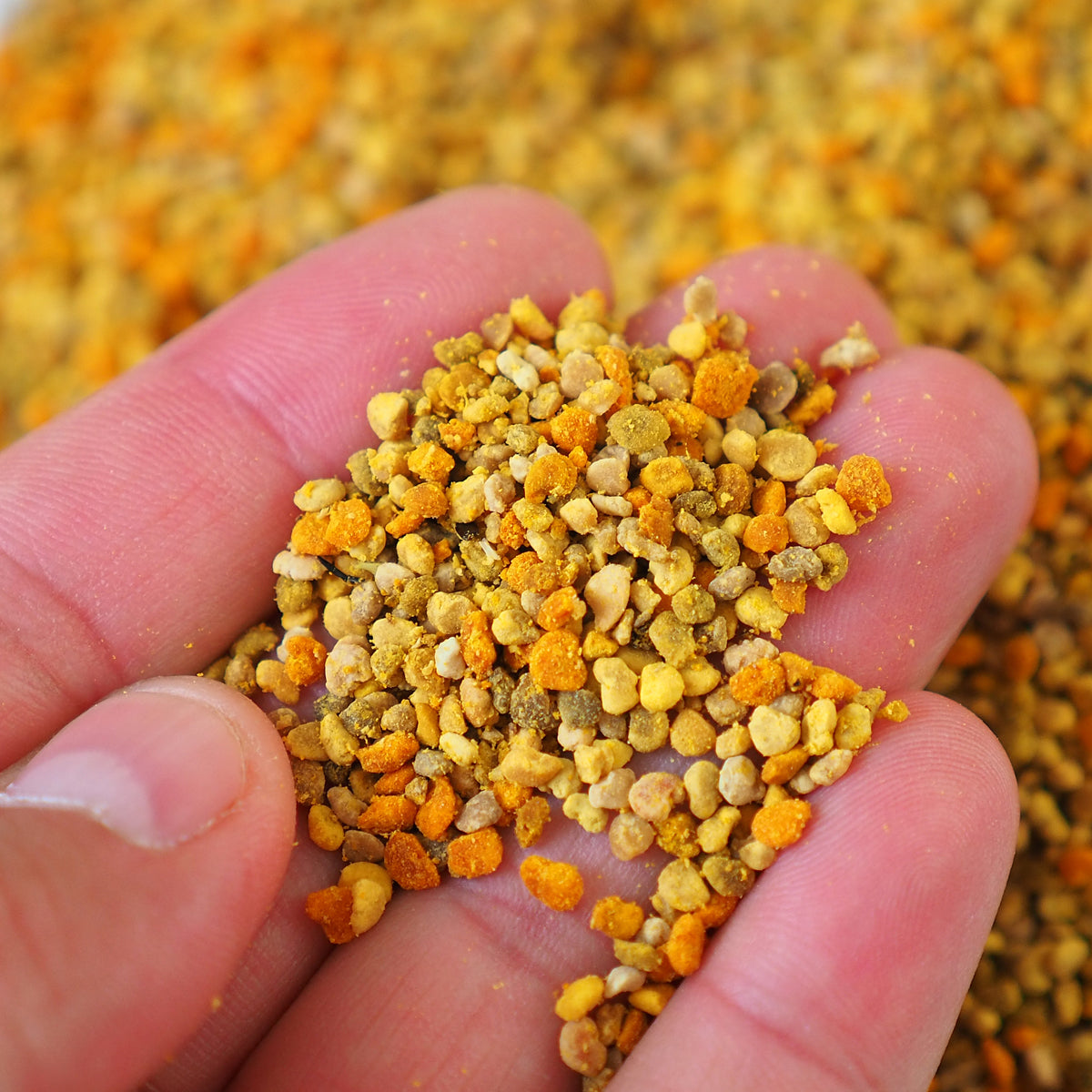 Mannavita getrockneter Multiflora Blütenpollen • 200 g