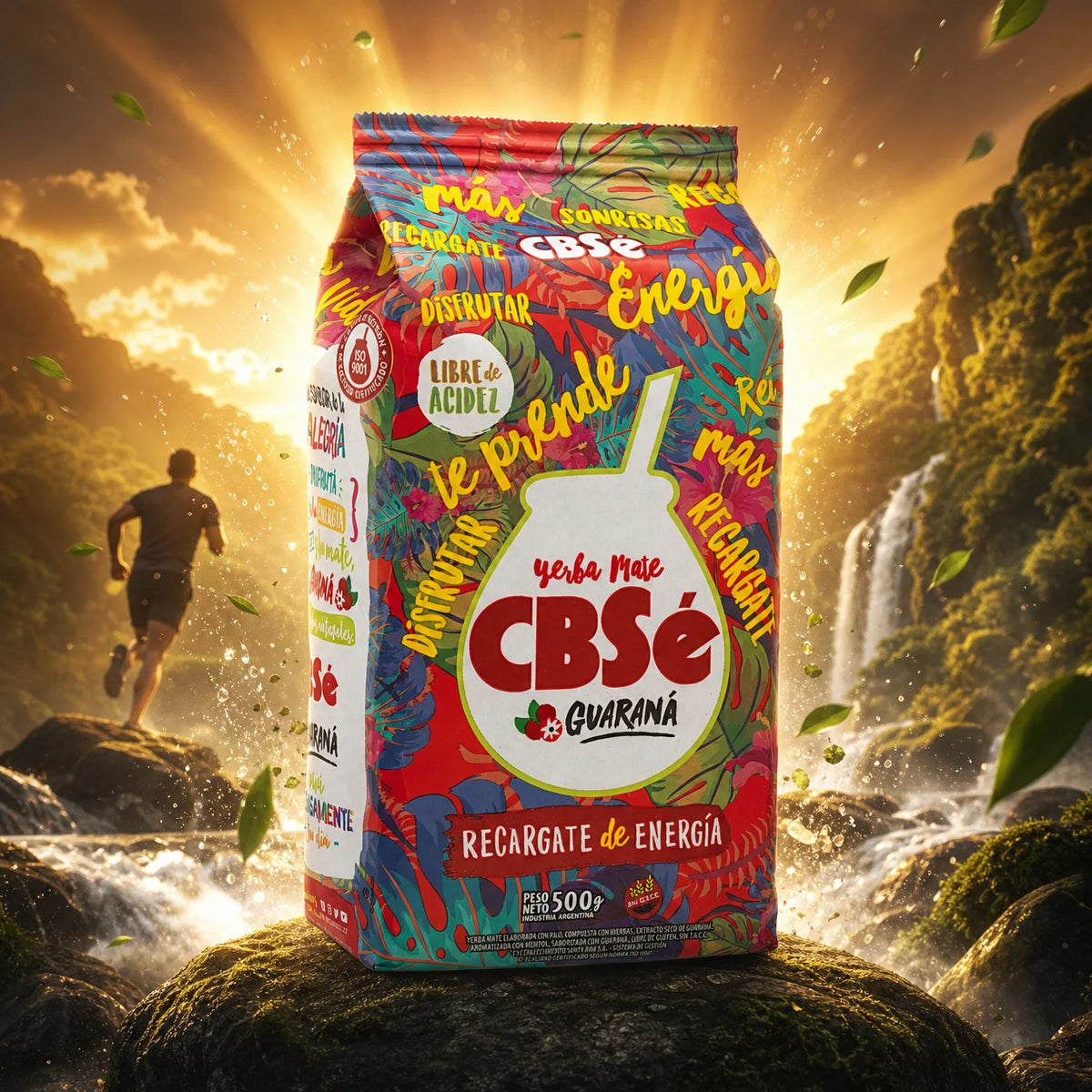 CBSé Yerba-Mate-Tee • Guaraná • 500 g