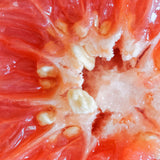 Mannavita Grapefruitkern-Extrakt Tropfen • 100 ml