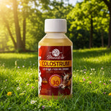 Mannavita Kolostrum flüssig • 120 ml