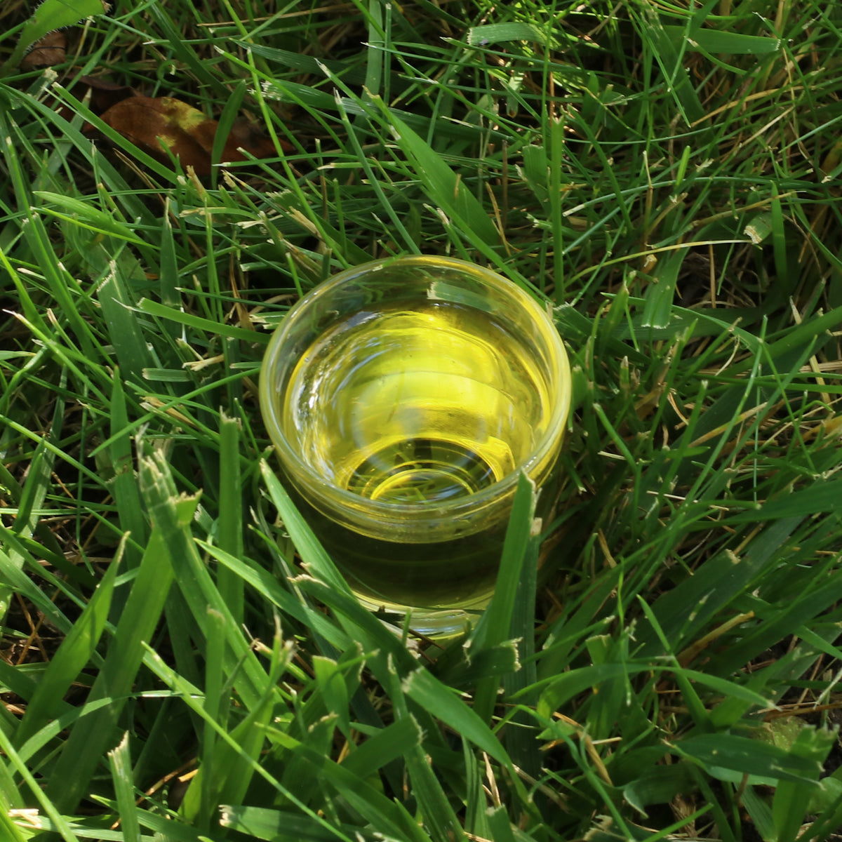 Mannavita Ungarisches kaltgepresstes Mohnöl • 250 ml