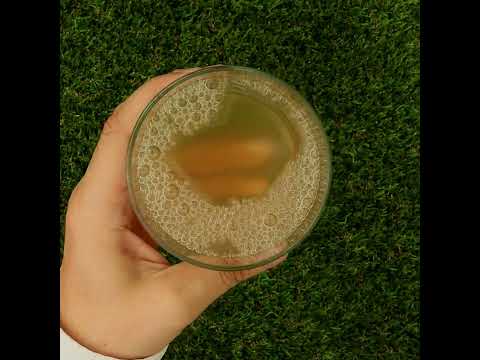 Mannavita Aloe vera 100% gepresster reiner Saft • 1000 ml