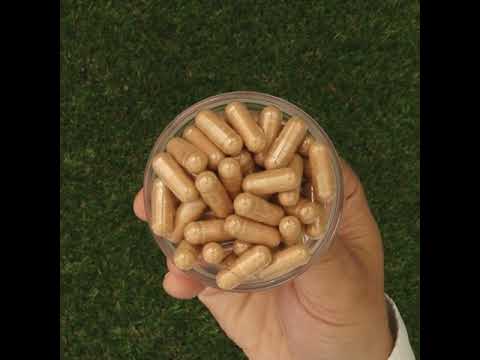 GINK-Q10 • Q10 Coenzym + Ginkgo Biloba Komplex • 60 Kapseln