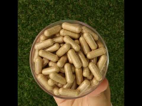 Ashwarax zur Linderung von Angst, Panik & Schlaflosigkeit • 90 Kapseln