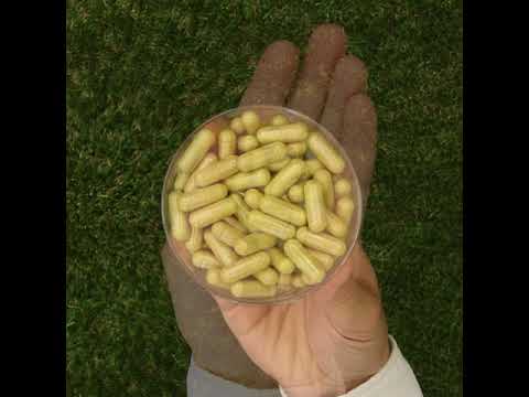 ENZIMA+ Verdauungsenzymkomplex mit Betain HCL • 90 Kapseln