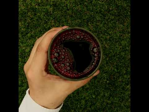 Mannavita Blaubeere 100% gepresster reiner Saft • 500 ml