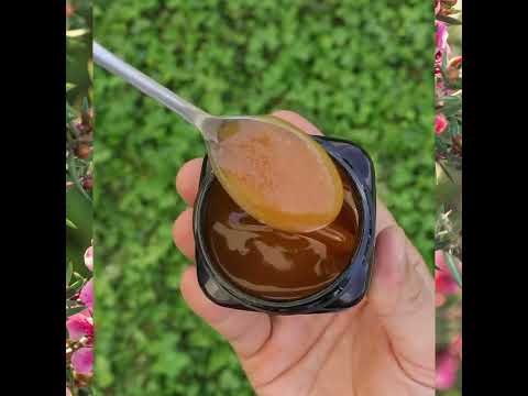 Melora Manuka Honig 300+ MGO™ UMF 10 • 250g