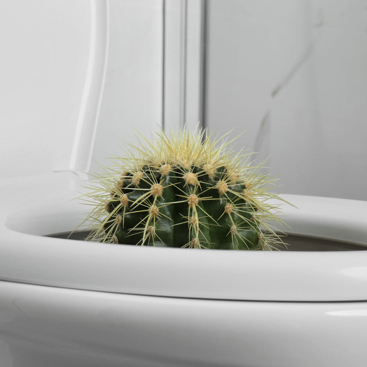 Proctan Salbe gegen Hämorrhoiden • 50 ml