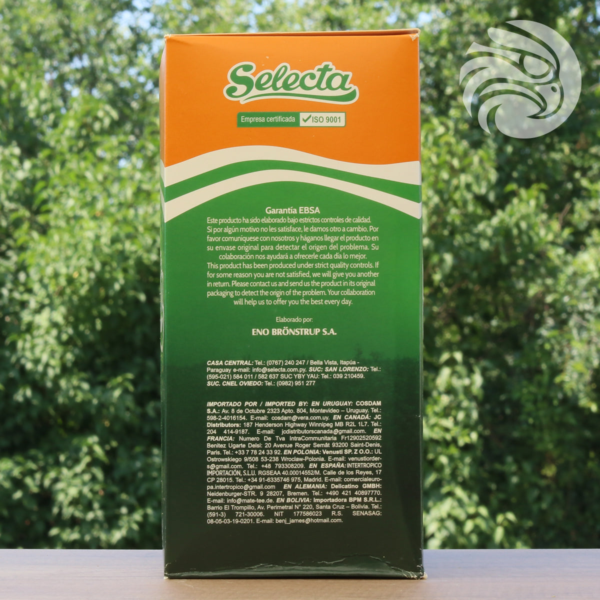 Selecta Yerba-Mate-Tee • Boldo + Minze • 500 g
